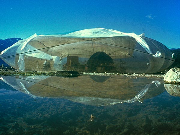 Bubble Architecture - Floating Utopias(버블 아키텍쳐 - 플로팅 유토피아)